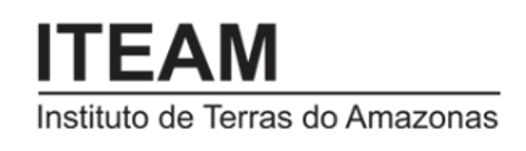 ITEAM