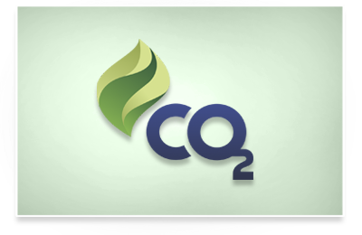 Negócios ambientais 2012